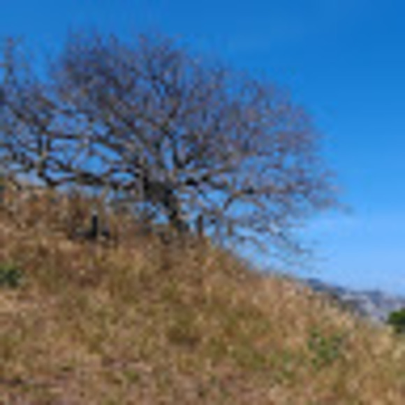 Meet your Posher, Katy - Picture 1 of 1